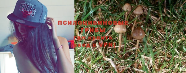 mdma Кукмор