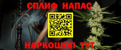 крисы Краснодар