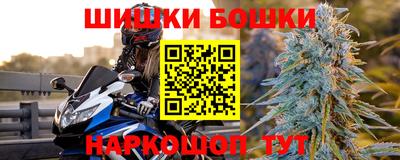 крисы Краснодар