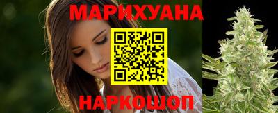 крисы Краснодар