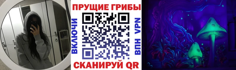 Галлюциногенные грибы Psilocybe  Кыштым 